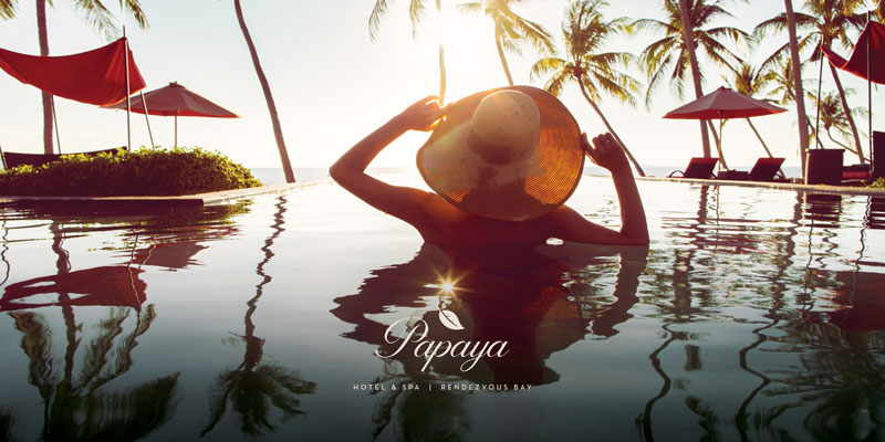 Papaya-eBrochure-Eng-cover-800x400